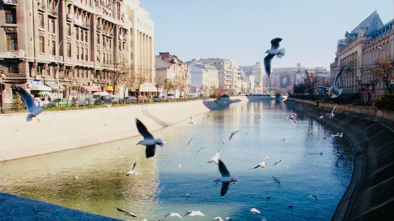 Eric Apartment 100 Bucarest Exterior foto